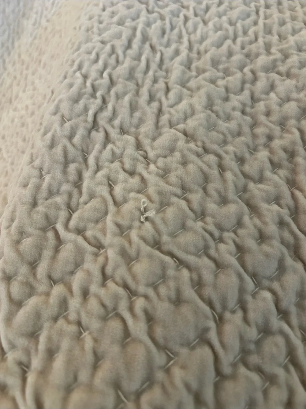 Pottery Barn Velvet Cross Stitch King quilt  parchment